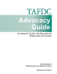 2017 TAFDC Advocacy Guide